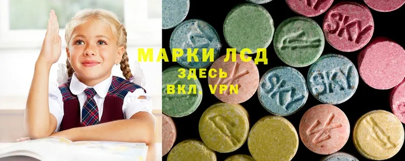 ЛСД экстази ecstasy  Болотное 